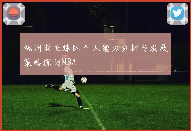 杭州羽毛球队个人能力分析与发展策略探讨MBA