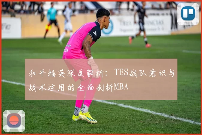 和平精英深度解析：TES战队意识与战术运用的全面剖析MBA