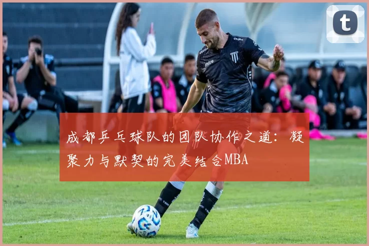 成都乒乓球队的团队协作之道：凝聚力与默契的完美结合MBA