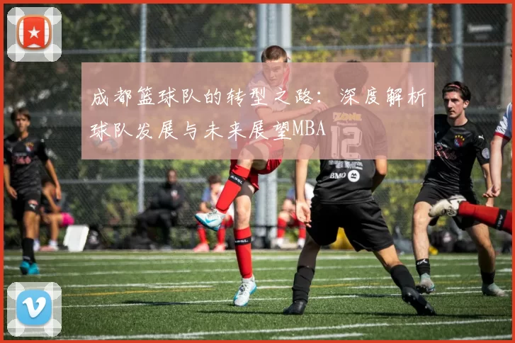 成都篮球队的转型之路：深度解析球队发展与未来展望MBA